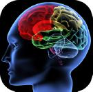 How Smart Are U?
