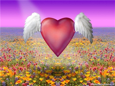 serene heart
