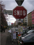 Snob Or Not?