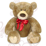 Gifts For Occasions
