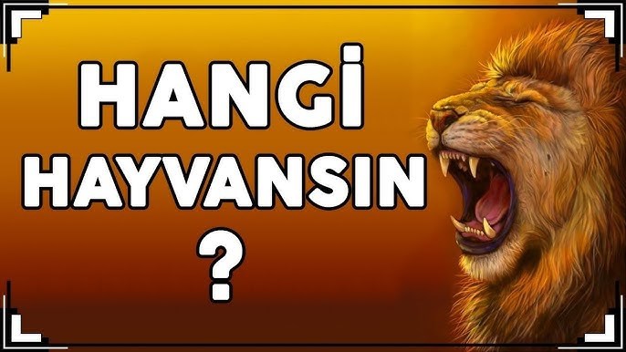 Hangi hayvansın??