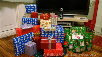 Will You Get What You Want For Christmas??