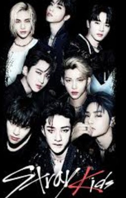 Hangi stray kids üyesisin