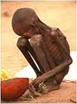 Can U Survive A 2012 Inccedent