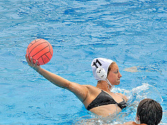 Which Sport Are You A Fan Of?
