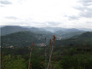 Hangi Prensesin