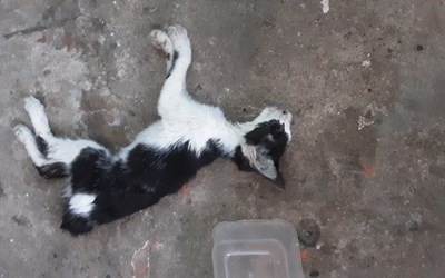 Apakah Kamu Memiliki Banyak Masalah?