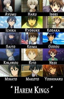 Siapakah kamu di anime harem >:)