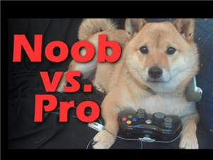 Noob O Pro En Minecraft