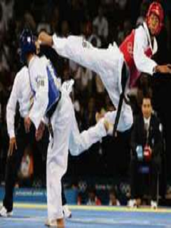 How Much U Love Tkd ?