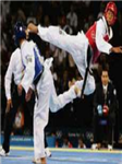 How Much U Love Tkd ?