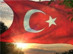 Anket