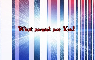 What Animal Are You?