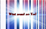 What Animal Are You?