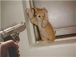 Boredem Is A None Killer