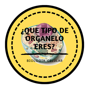 ¿Qué Tipo De Organelo Eres? 