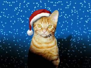 Aime Tu Les Chats De Noel ?