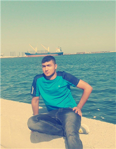 Hangi Ayısın Pardon