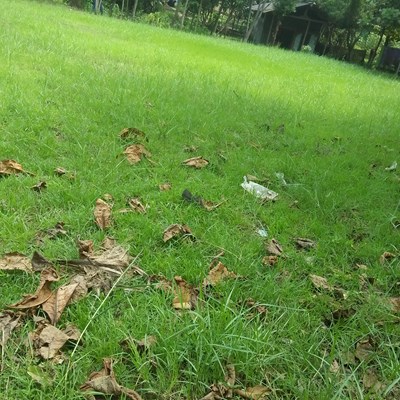 Seberapa  Manjakah Kamu