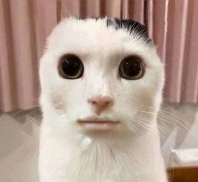 Apakah kamu pick me atau tidak?