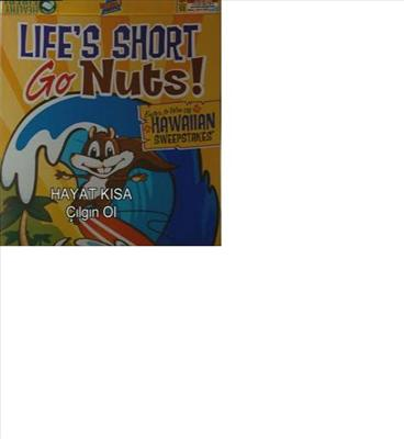 Lıfe Short