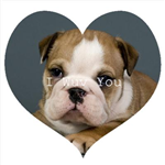 Puppy Wuv Hearts