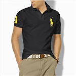 Polo Or Aero