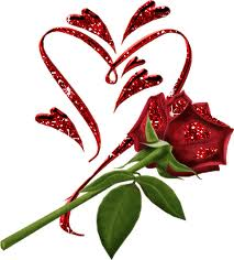 Heart  Rose