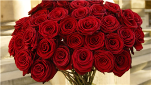 Hangi Çiçeksin