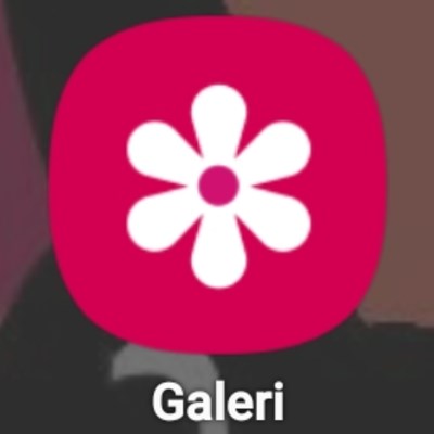Mirip Siapa Kamu Di Galeri Ku🗿