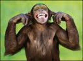 Singe Ou Pa
