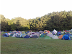 Kundalini Network Festival Quiz