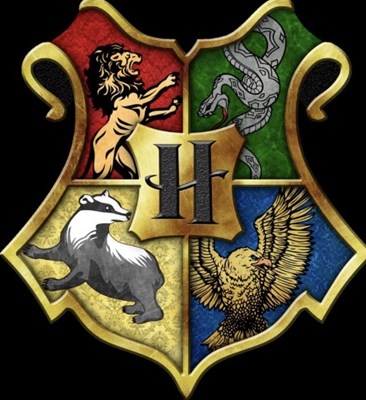 Hangi Hogwarts binasına aitsinnn🦁🐍🦡🐦‍⬛
