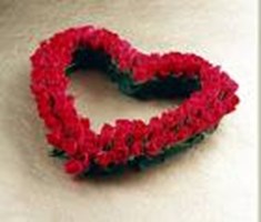 Love Or Money