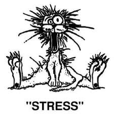 STRESS