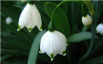 Kto Ta Ma Najradsej Z Prijatelov