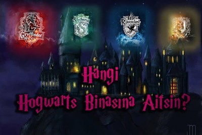 Harry Potter hangi binasın