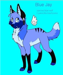 Rising Moon Poll