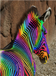 What Animal Are You? (Resulst May Vary)
