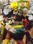 Daily Darshan