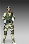 Hangi Battlefield 2 Askerisin?