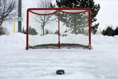 Which Sport:You Choose