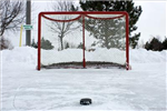 Which Sport:You Choose