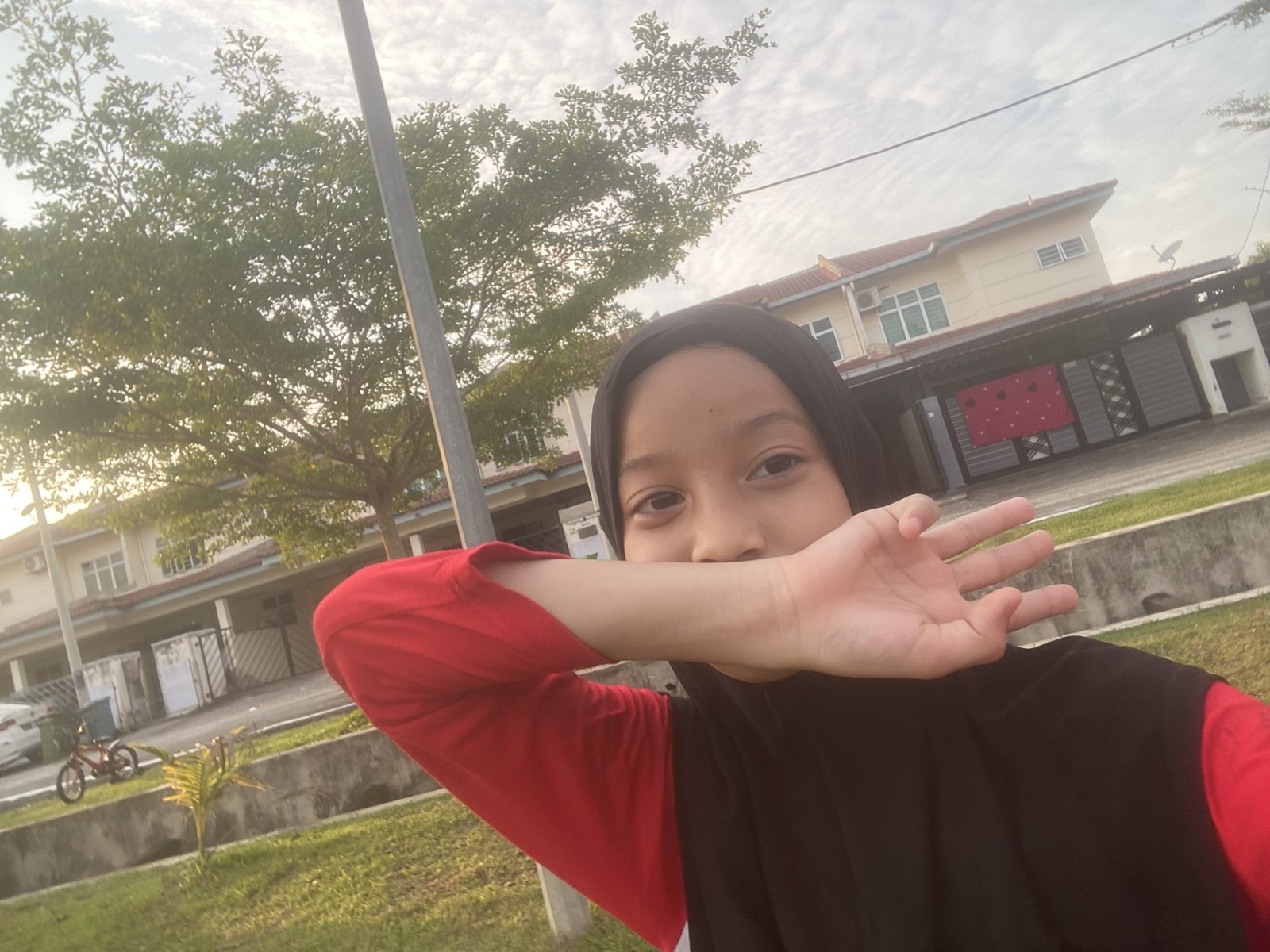 Mengenali Aalia kuning.