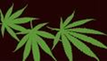 What Kottonmouth Kings Song R U Like???