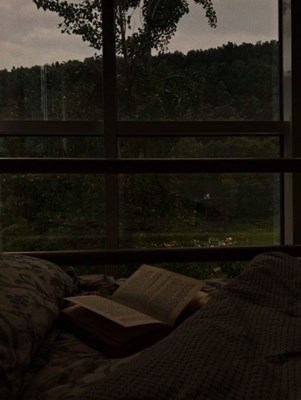 Ne Tür Bir Kitap/Film Türü Seversin?