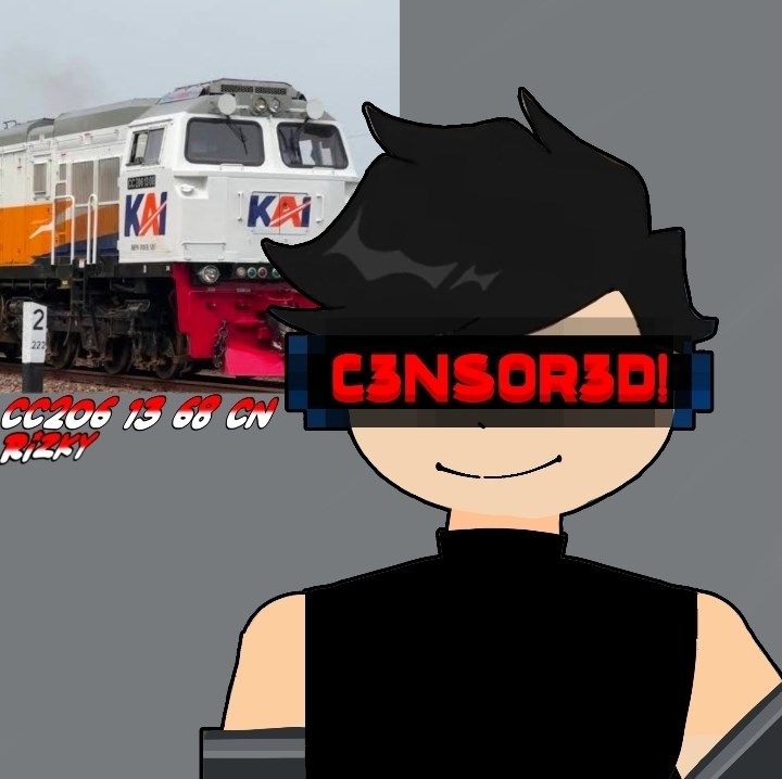 Nothing, only Railfans