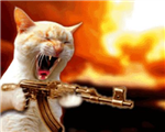 Crazy Or Not?