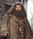 Hangi Harry Potter Karakterisin?
