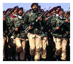 Pakistan Govt.